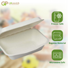 Greenwich Packaging Premium Bagasse Clamshell Box 5x7 inch - Pack of 50