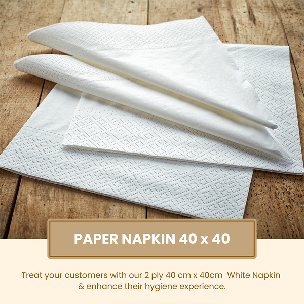 2 ply 40cm White Napkin